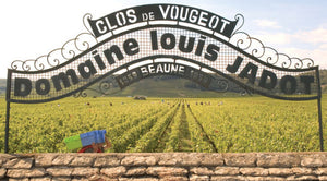 Wine blog: Maison Louis Jadot: A timeless legacy that embraces sustainable excellence